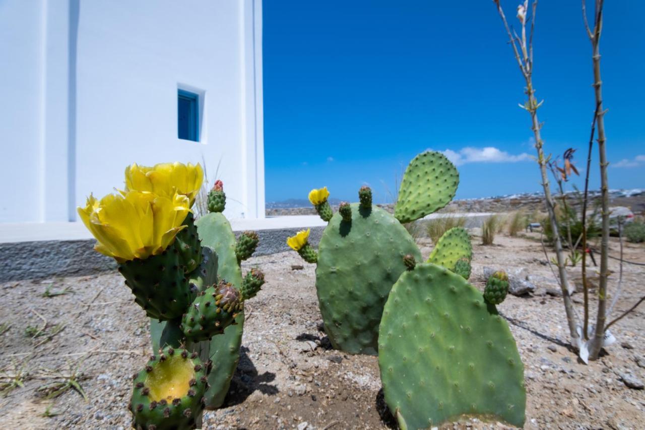 Lilly Villa By Bestofmikonos Ornos  Exterior foto